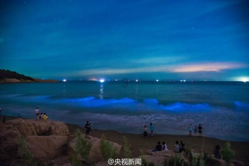 乒乓球的挑战大赛